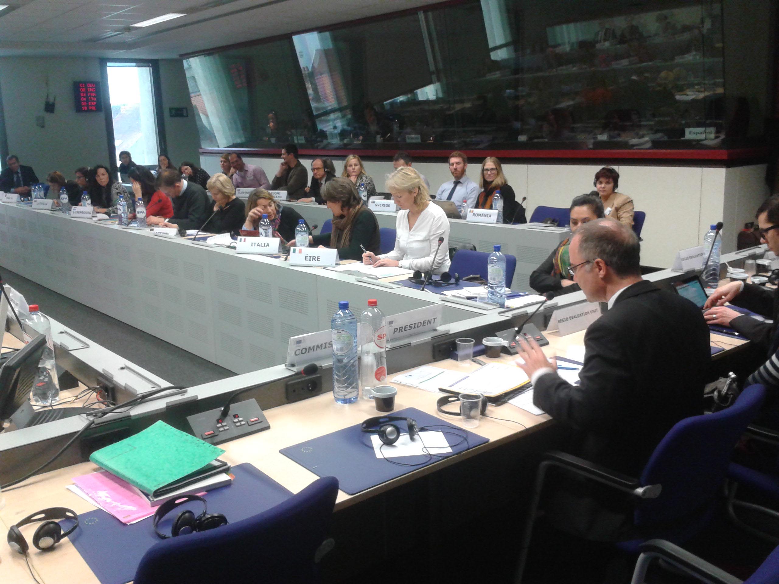 DG Regional and Urban Policy, Evaluation Network Meeting January 2015