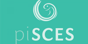 piSCES – Smart Cluster Energy System