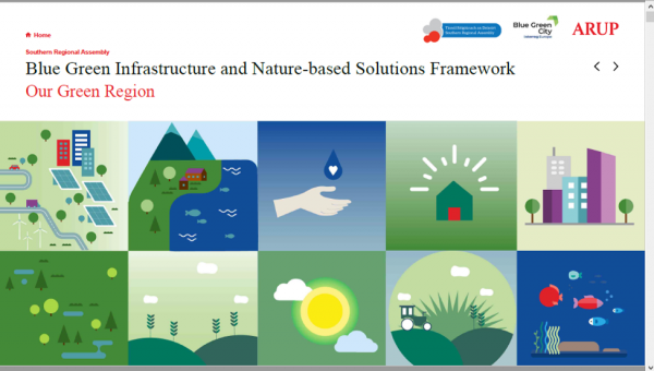  Blue Green Infrastructure (BGI) and Nature-based Solutions (NbS) Framework